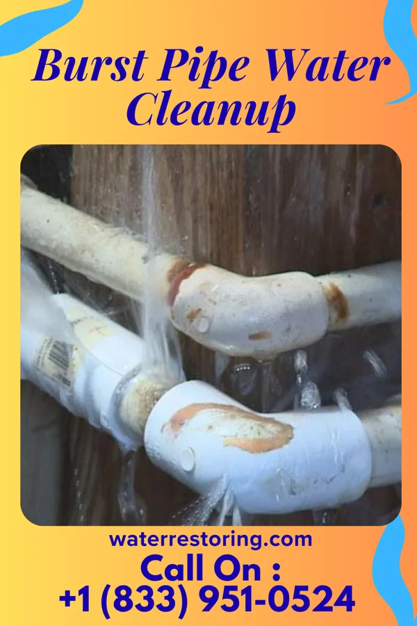 Burst Pipe Water Cleanup in Totowa, NJ