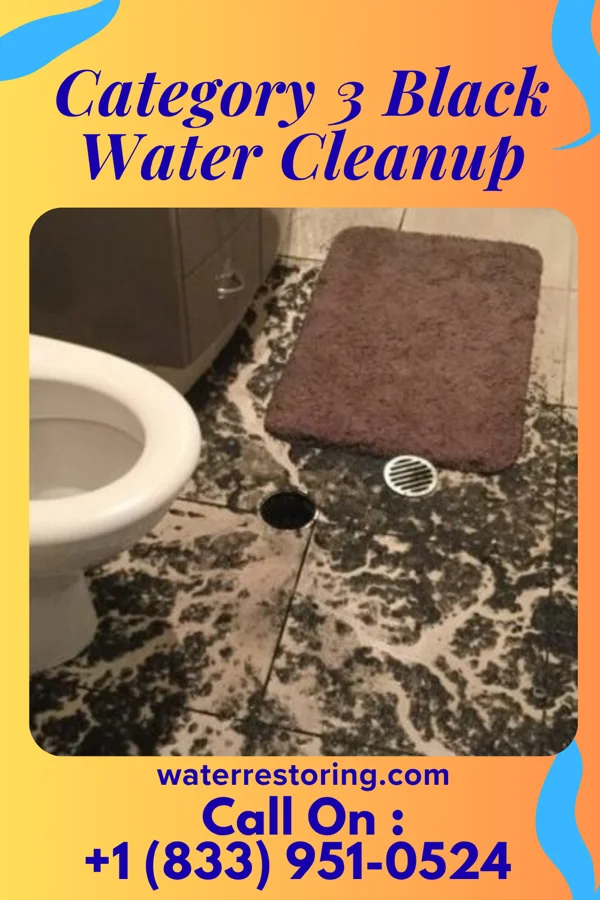 Category 3 Black Water Cleanup in Totowa, NJ